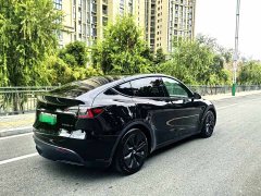 Tesla Model Y Rear-Wheel Drive - ფოტო 6