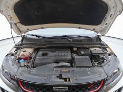 Geely Bingyue 1.4T DCT Platinum Edition - ფოტო 16