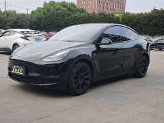 Tesla Model Y Long Range All-Wheel Drive - ფოტო 1