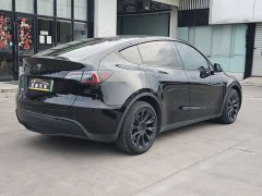 Tesla Model Y Long Range All-Wheel Drive - ფოტო 4