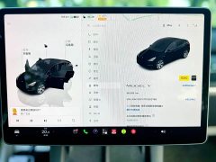Tesla Model Y 2022 Facelift Rear-Wheel Drive - ფოტო 9