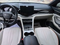 BYD Song Plus New Energy DM-i 71km Luxury - ფოტო 11