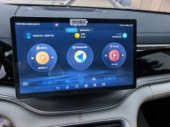 BYD Song Plus New Energy DM-i 71km Luxury - ფოტო 14