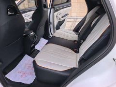 BYD Song Plus New Energy DM-i 71km Luxury - ფოტო 8