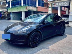 Tesla Model Y Long Range All-Wheel Drive 3D7 - ფოტო 1