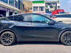 Tesla Model Y Long Range All-Wheel Drive 3D7 - ფოტო 13