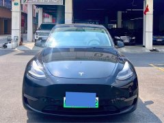 Tesla Model Y Long Range All-Wheel Drive 3D7 - ფოტო 2