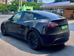Tesla Model Y Long Range All-Wheel Drive 3D7 - ფოტო 4