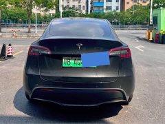Tesla Model Y Long Range All-Wheel Drive 3D7 - ფოტო 5