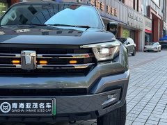 Tank 400 New Energy 2024 Hi4-T Off-Road Edition - ფოტო 4