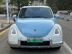 Ora Ballet Cat 2023 401km Deluxe - ფოტო 2