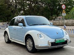 Ora Ballet Cat 2023 401km Deluxe - ფოტო 3