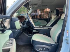 Ora Ballet Cat 2023 401km Deluxe - ფოტო 7