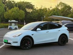 Tesla Model Y Long Range All-Wheel Drive 3D7 - ფოტო 1
