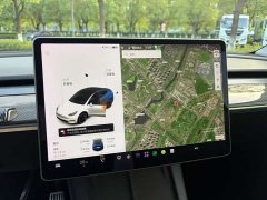 Tesla Model Y Long Range All-Wheel Drive 3D7 - ფოტო 13