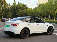 Tesla Model Y Long Range All-Wheel Drive 3D7 - ფოტო 3