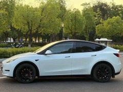 Tesla Model Y Long Range All-Wheel Drive 3D7 - ფოტო 4