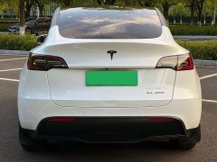 Tesla Model Y Long Range All-Wheel Drive 3D7 - ფოტო 5