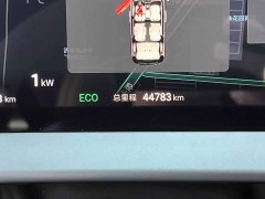 Denza BYD Denza D9 DM-i 980 Four-Wheel Drive Flagship - ფოტო 13