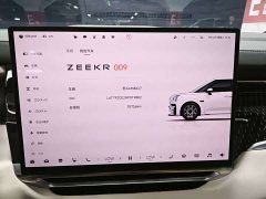 Zeekr 009 2024 6-Seater Executive AWD 108kWh - фото 6