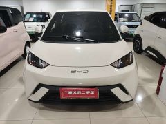 BYD Seagull 2025 305km Freedom Edition - ფოტო 1