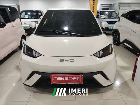 2024 BYD Seagull 2025 305km Freedom Edition - ავტომობილი ჩინეთიდან