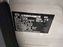 BYD Seagull 2025 305km Freedom Edition - ფოტო 11