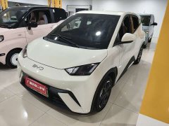 BYD Seagull 2025 305km Freedom Edition - ფოტო 2