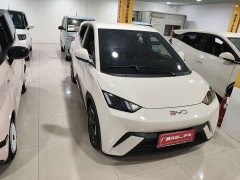 BYD Seagull 2025 305km Freedom Edition - ფოტო 3