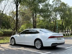 Audi A7L 45TFSI S-line Dream Edition Fluid Crystal Package - ფოტო 8
