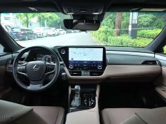 Lexus ES 300h Premium Edition - ფოტო 8