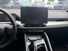 Geely Xingrui Oriental Radiance 2.0T Diesel Star Edition - ფოტო 10