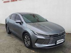 BYD Destroyer 05 Glory Edition DM-i 55KM Luxury - ფოტო 5