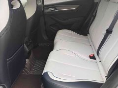 BYD Destroyer 05 Glory Edition DM-i 55KM Luxury - ფოტო 8