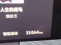 Tank 500 New Energy Hi4-Z Definite Red - ფოტო 13