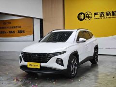 Hyundai Tucson 2023 Tucson L 1.5T Automatic Two-Wheel Drive DLX Luxury - ფოტო 1