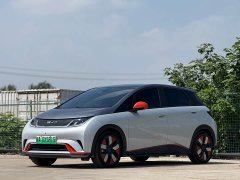 BYD Dolphin 401km Knight Edition - ფოტო 1
