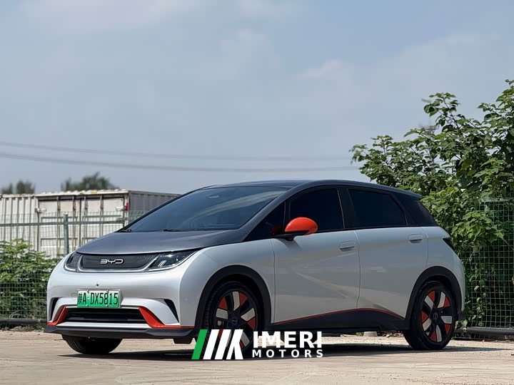 BYD Dolphin 401km Knight Edition