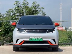 BYD Dolphin 401km Knight Edition - ფოტო 2