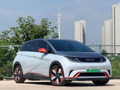 BYD Dolphin 401km Knight Edition - ფოტო 3