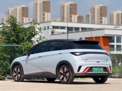 BYD Dolphin 401km Knight Edition - ფოტო 4