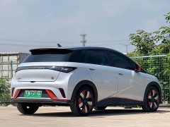 BYD Dolphin 401km Knight Edition - ფოტო 6
