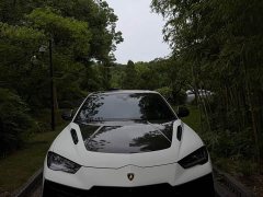 Lamborghini Urus 2022 4.0T V8 Performante - ფოტო 2