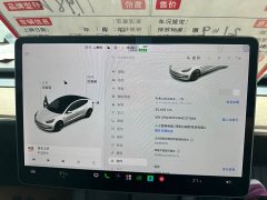Tesla Model 3 Standard Range RWD Upgrade - ფოტო 10