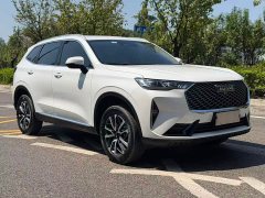Haval H6 2022 Third Generation 1.5T Automatic Two-Wheel Drive Max - ფოტო 3