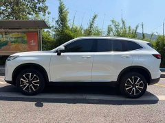 Haval H6 2022 Third Generation 1.5T Automatic Two-Wheel Drive Max - ფოტო 5
