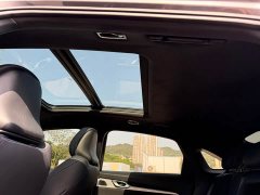 Geely Xingrui Oriental Radiance 2.0T Diesel Star Edition - ფოტო 16