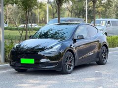 Tesla Model Y Long Range All-Wheel Drive 3D7 - ფოტო 1