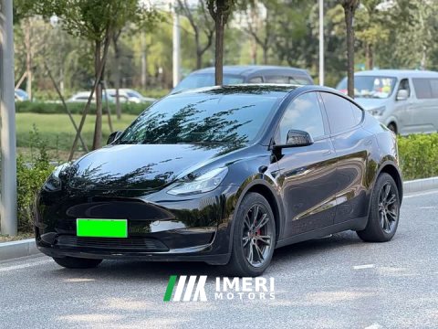 2021 Tesla Model Y Long Range All-Wheel Drive 3D7 - ავტომობილი ჩინეთიდან