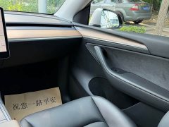 Tesla Model Y Long Range All-Wheel Drive 3D7 - ფოტო 10
